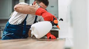 Best Termite Inspection and Treatment  in Newport, WA